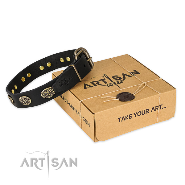 Corrosion resistant traditional buckle on full grain natural leather collar for your attractive four-legged friend
