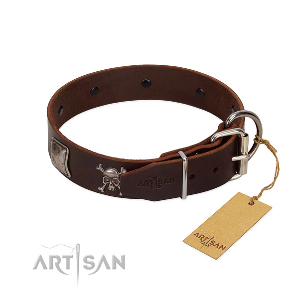 Impressive full grain leather collar for your attractive canine