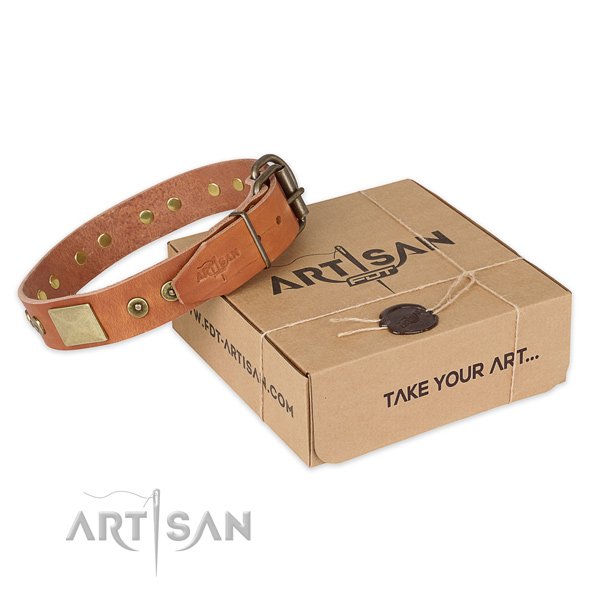 Rust-proof fittings on full grain leather dog collar for daily use