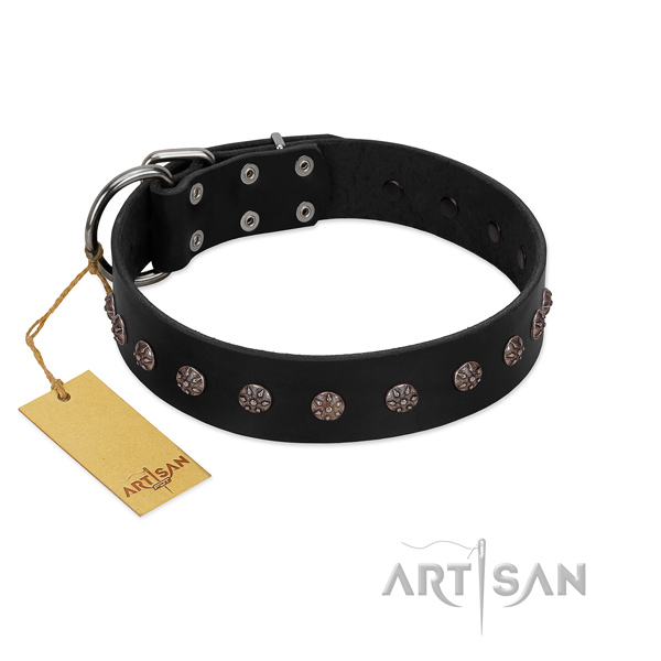 Walking natural leather dog collar with stylish decorations