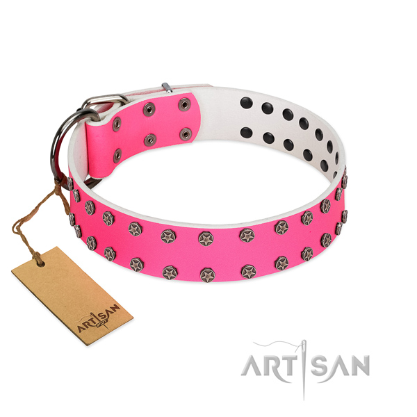 Comfortable wearing full grain natural leather dog collar with trendy studs