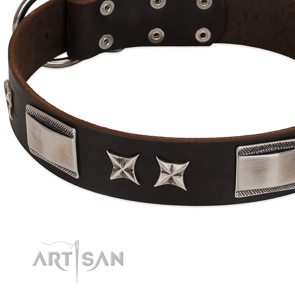 Adorned collar of leather for your handsome four-legged friend