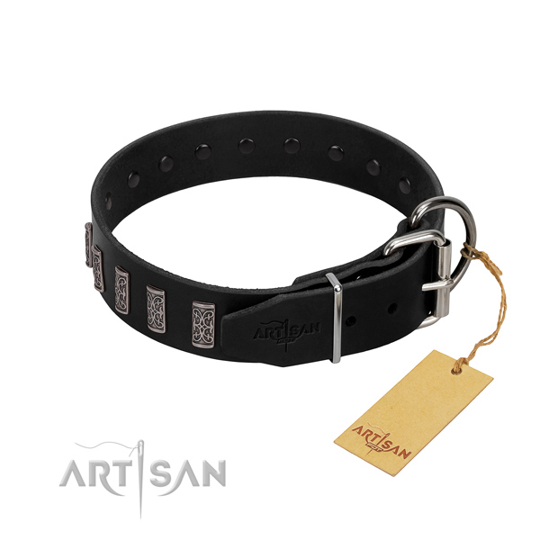 Rust-proof traditional buckle on leather dog collar for walking your pet