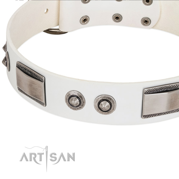 Exquisite dog collar of genuine leather with studs