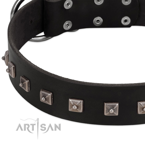 Flexible natural leather collar with embellishments for your doggie