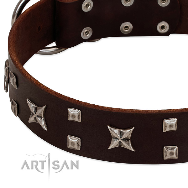 High quality leather dog collar with studs for daily use
