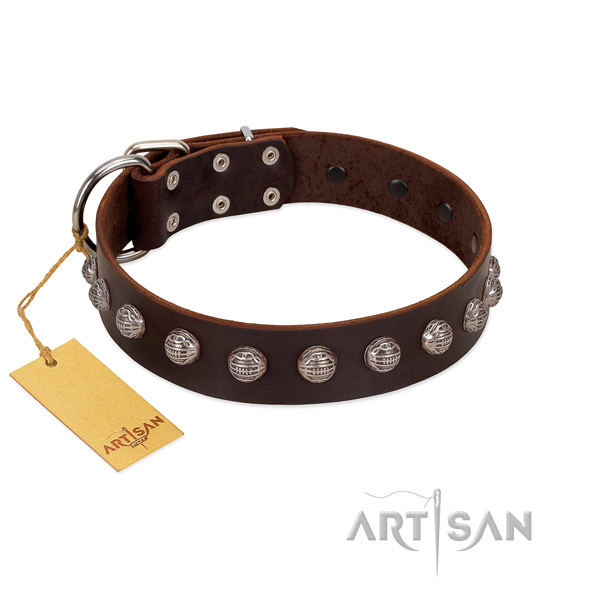 Rust resistant traditional buckle on easy adjustable full grain genuine leather dog collar