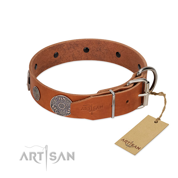 Exquisite genuine leather collar for your attractive doggie