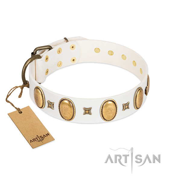 Genuine leather dog collar with stunning embellishments for stylish walking