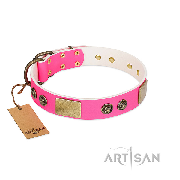 Best quality leather dog collar for fancy walking
