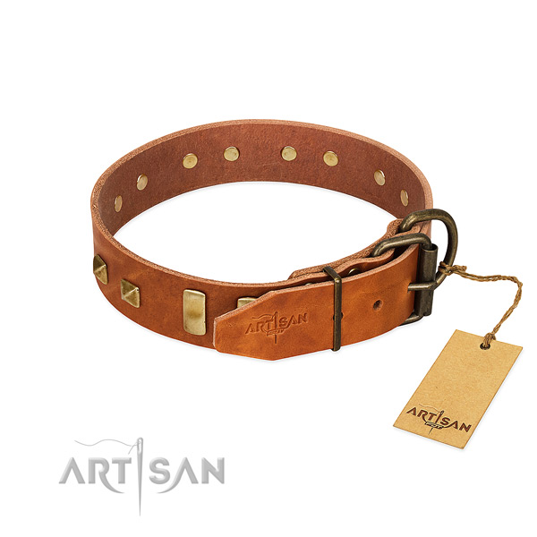 Reliable genuine leather dog collar with reliable traditional buckle