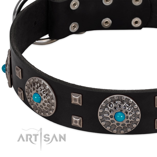 Top rate full grain leather dog collar with designer embellishments