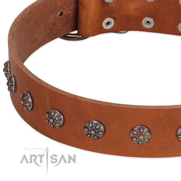 Gentle to touch natural leather dog collar with embellishments for your pet