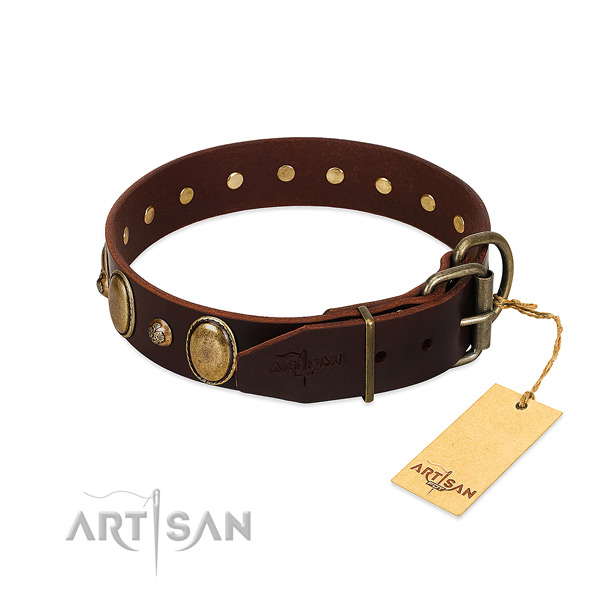 Reliable traditional buckle on natural genuine leather collar for daily walking your dog