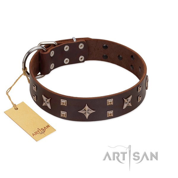 Trendy full grain natural leather dog collar for walking in style your dog
