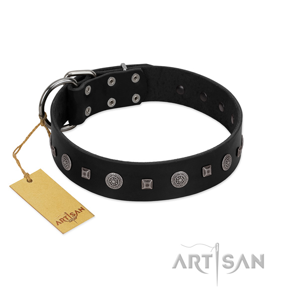 Easy wearing best quality leather dog collar with embellishments