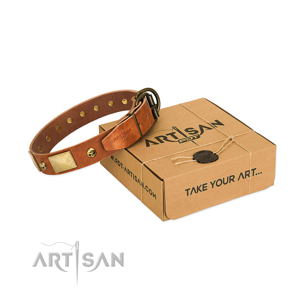 Durable full grain genuine leather dog collar with trendy adornments