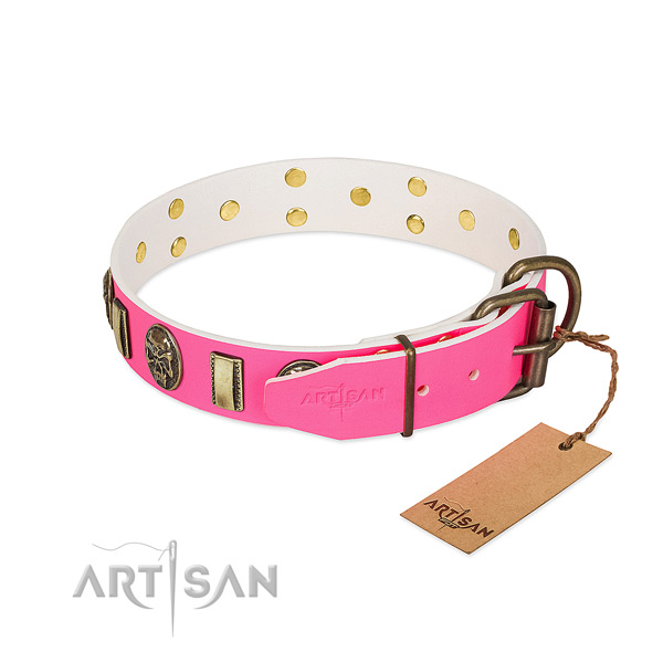 Corrosion resistant traditional buckle on natural genuine leather dog collar for your dog