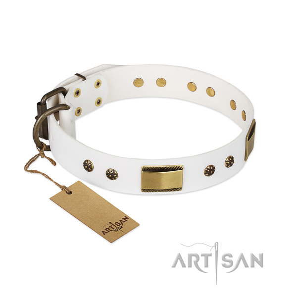 Fashionable genuine leather collar for your canine