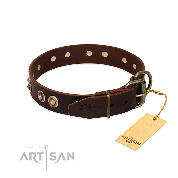 Corrosion proof studs on full grain leather dog collar for your doggie