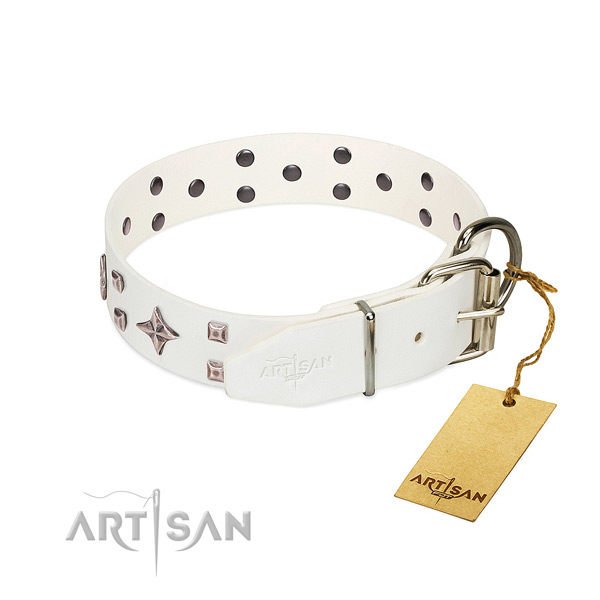 Unusual full grain leather collar for your doggie walking in style