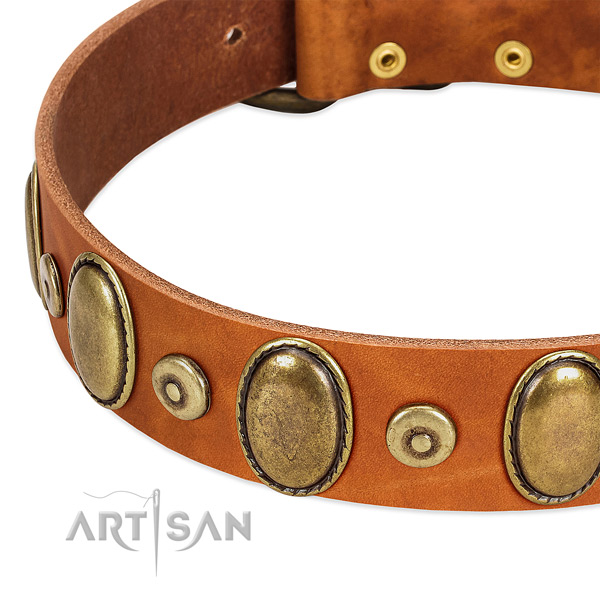 Top rate natural leather collar handmade for your four-legged friend