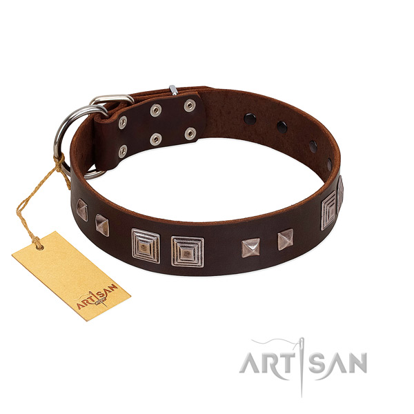 Corrosion proof hardware on full grain leather dog collar for basic training