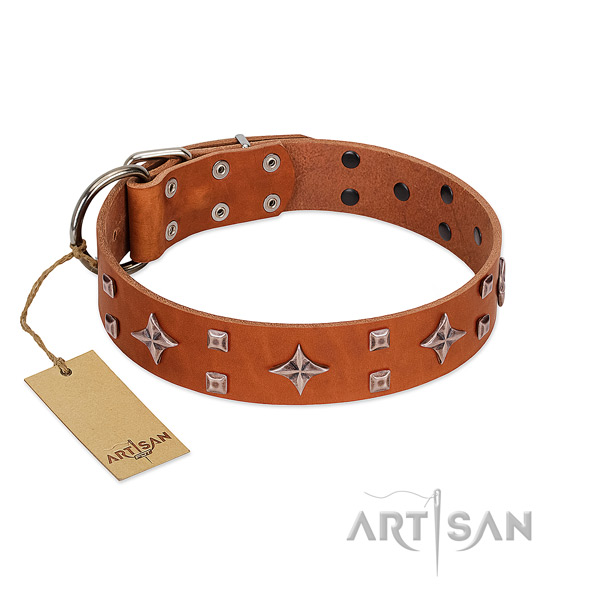 Awesome full grain natural leather collar for your canine stylish walking