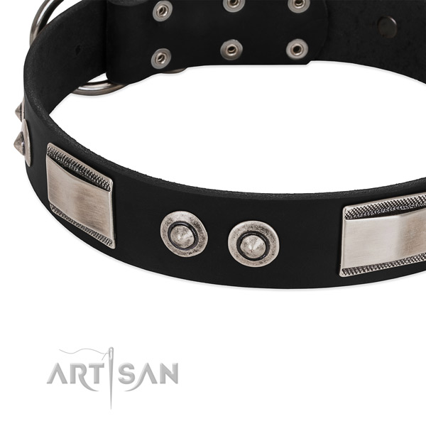 Stunning genuine leather collar for your canine