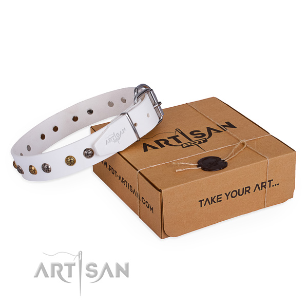 Daily use dog collar with Trendy durable studs