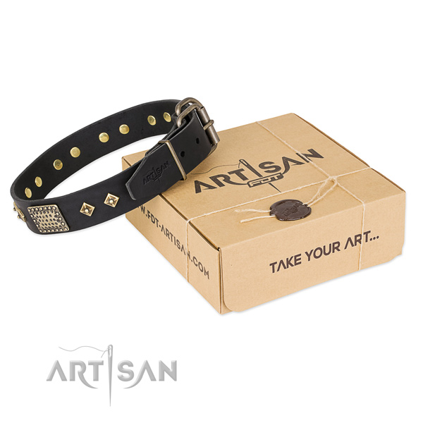 Significant full grain leather collar for your handsome canine