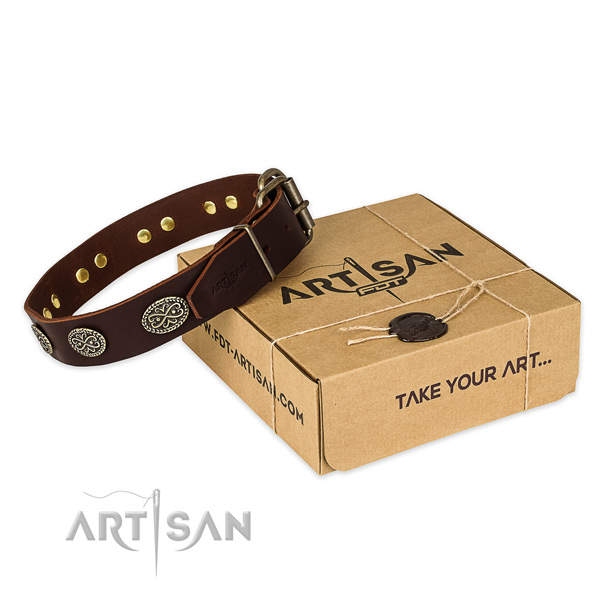 Durable fittings on full grain genuine leather collar for your beautiful pet