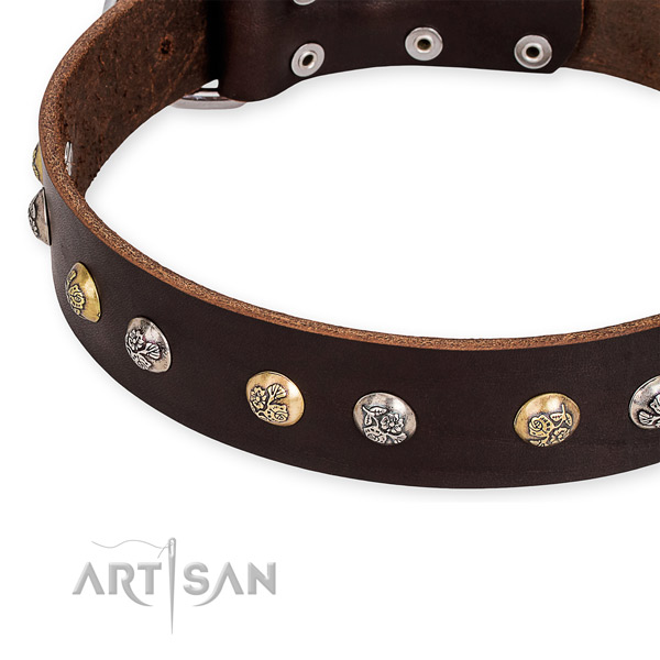 Full grain genuine leather dog collar with fashionable corrosion proof adornments