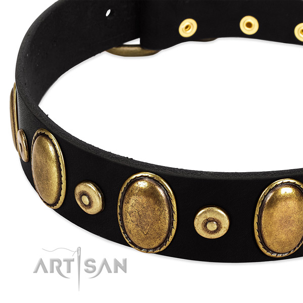 Stylish leather collar for your stylish four-legged friend