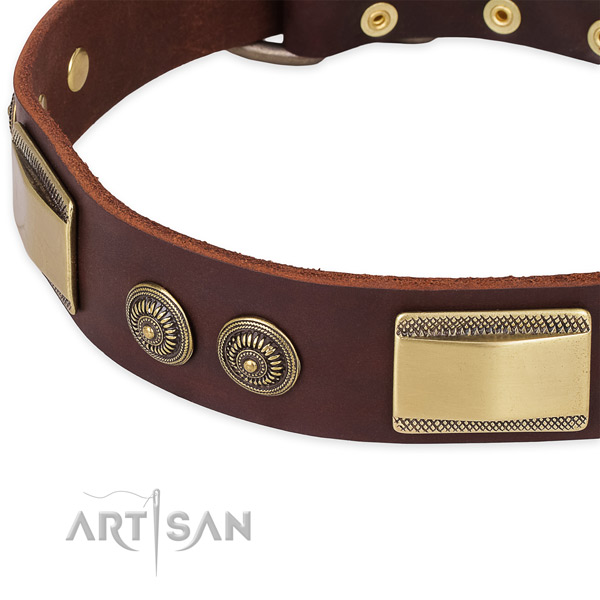 Convenient full grain genuine leather collar for your stylish four-legged friend