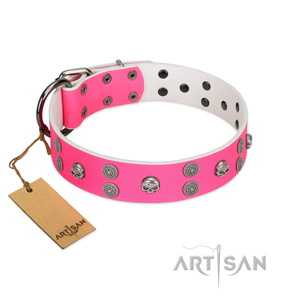 Daily use full grain genuine leather dog collar with incredible studs