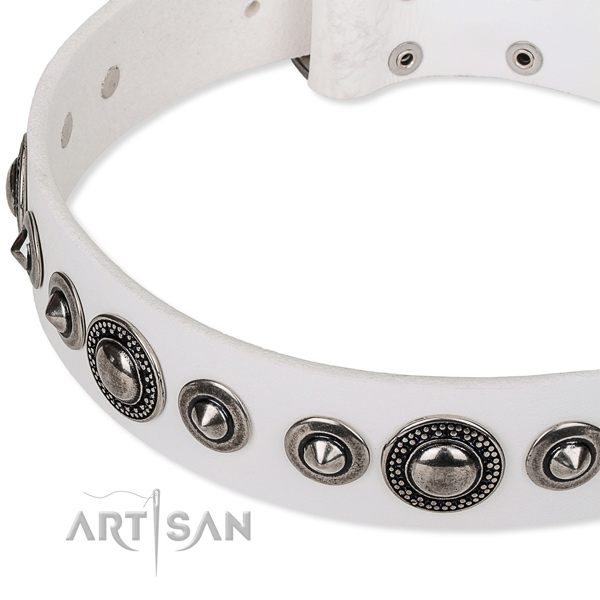 Handy use studded dog collar of finest quality full grain leather