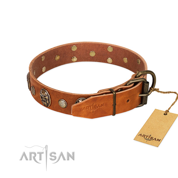 Durable traditional buckle on natural genuine leather collar for stylish walking your canine
