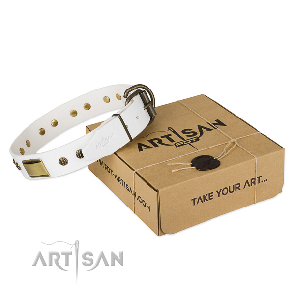 Awesome genuine leather collar for your lovely pet