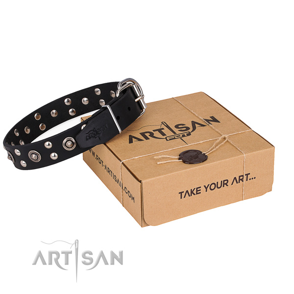 Stylish walking dog collar with Exceptional durable studs