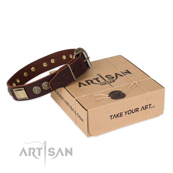 Corrosion proof buckle on full grain natural leather dog collar for fancy walking
