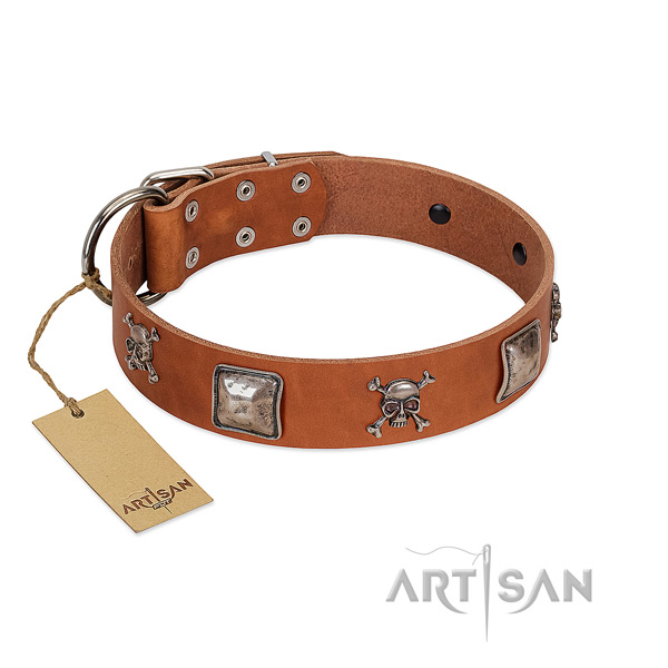 Embellished dog collar made for your attractive canine