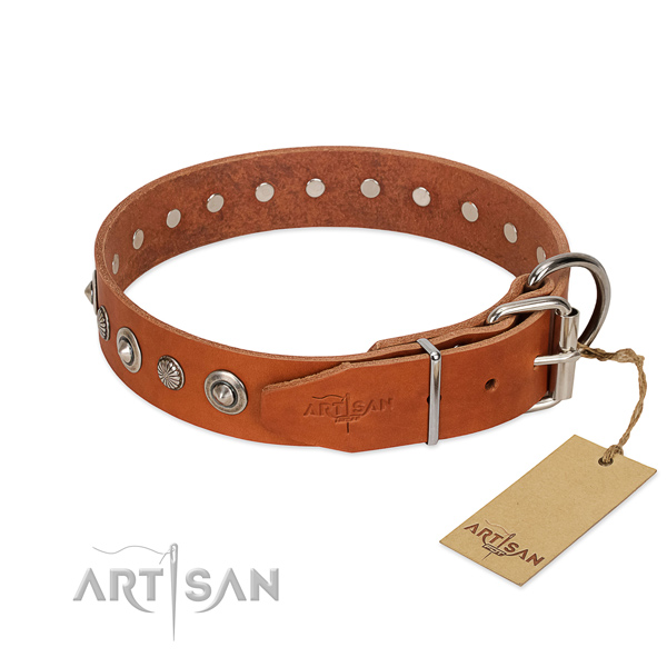High quality leather dog collar with stylish studs