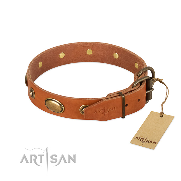 Corrosion proof fittings on genuine leather dog collar for your dog