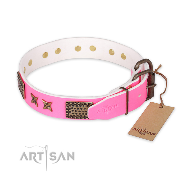 Reliable D-ring on genuine leather collar for your attractive pet