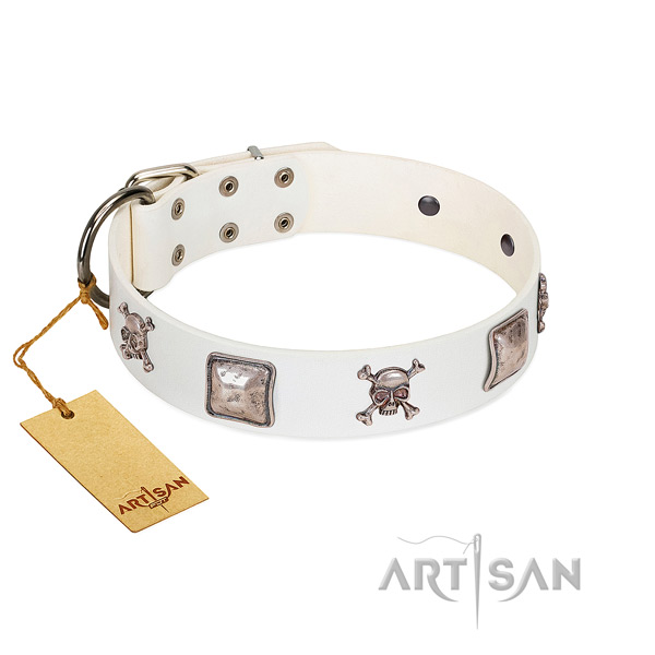 Exquisite full grain natural leather collar for your impressive four-legged friend