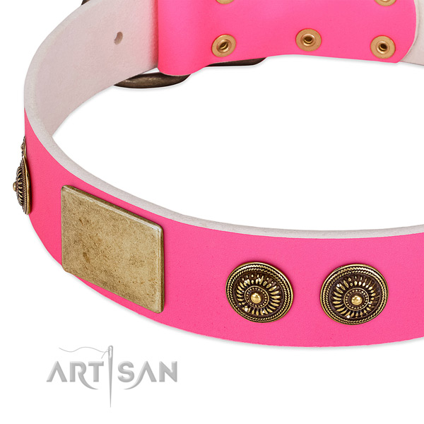 Amazing dog collar made for your attractive dog