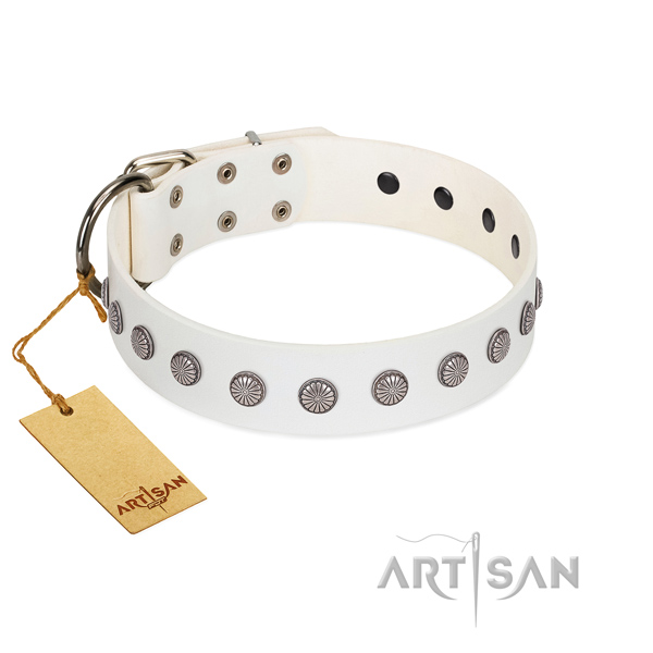 Top notch adornments on genuine leather collar for stylish walking your doggie