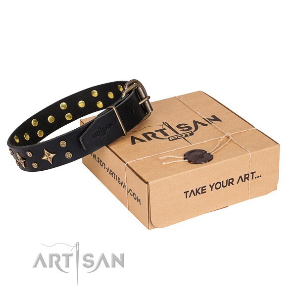 Comfy wearing dog collar of fine quality leather with decorations