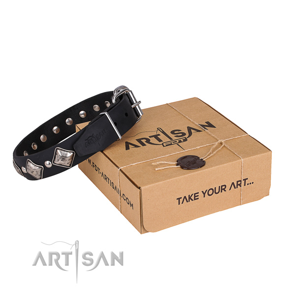 Daily walking dog collar of strong natural leather with decorations